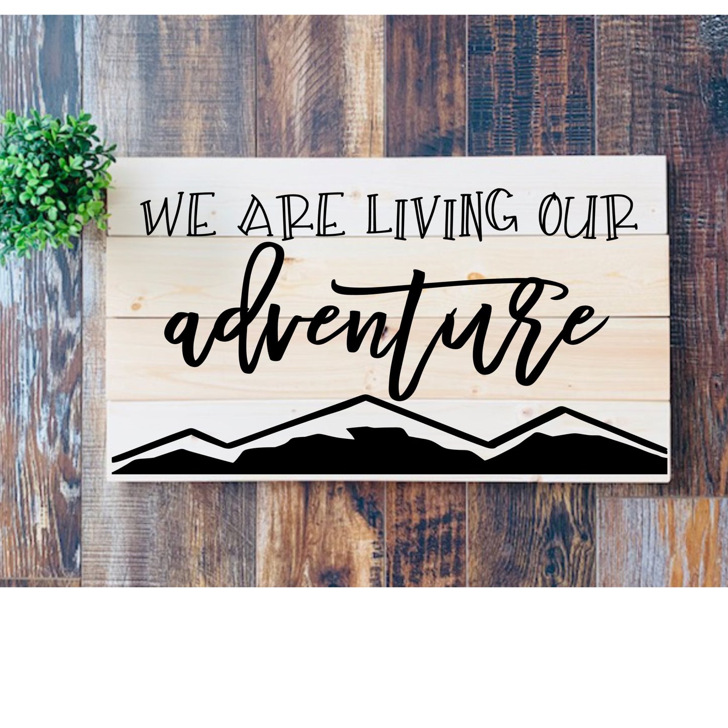 Living Our Adventure